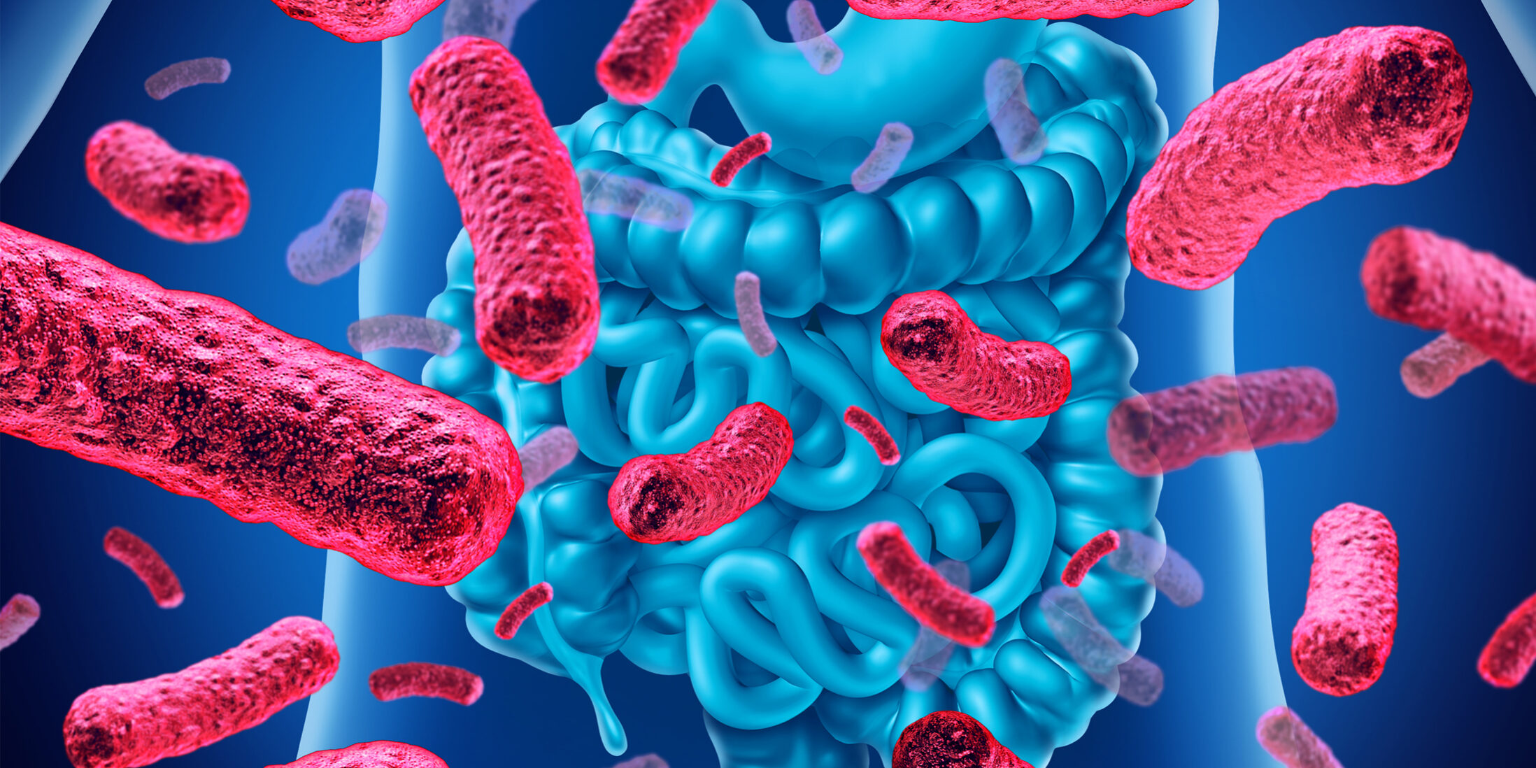 post probiotics gut microbiota
