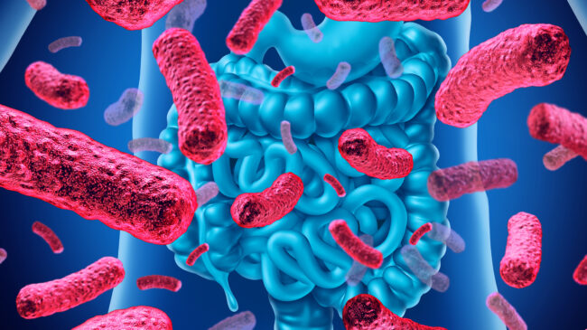 post probiotics gut microbiota