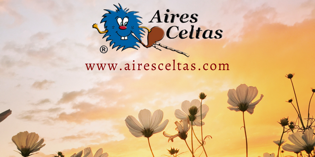 programa 25 05 24