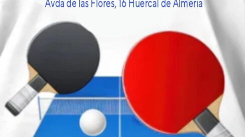 442502862 982618180231366 5331355787379048240 n