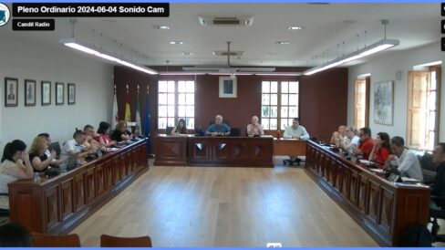 Pleno ordinario 2024-06-04