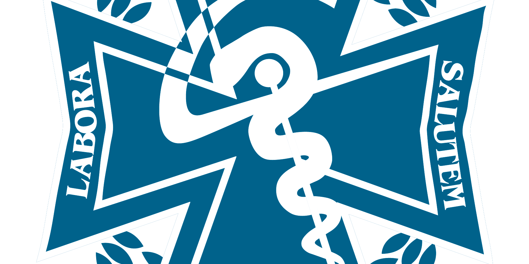 LOGO-CODEAL-AZUL BANNER