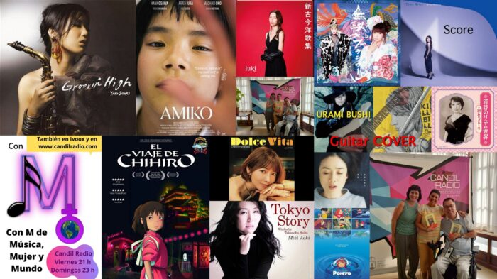 FOTOS CON M 291 JAPÓN 2