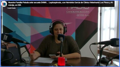 Herminia veterinaria