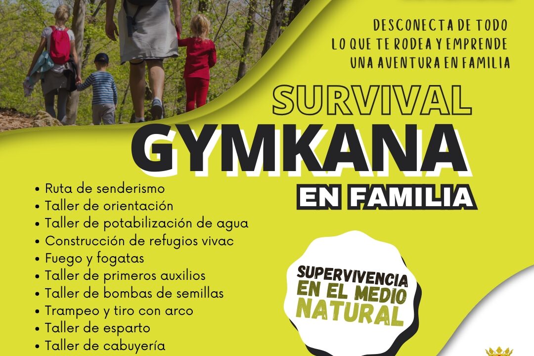 WhatsApp Image 2024-11-12 at 19.41.14