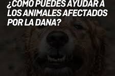 descarga (2)