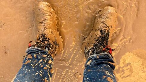 gbz7-fobeaanj6i 241-2160517 20241102234526