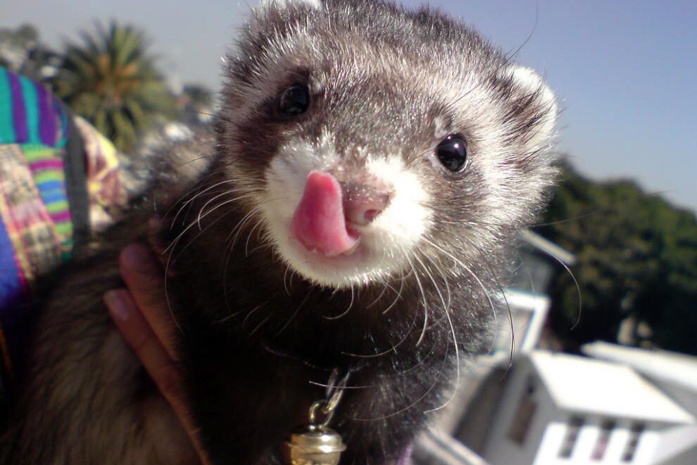 17ecc364-7c0e-4b05-b943-9e5adcc67c8c source-aspect-ratio default 0