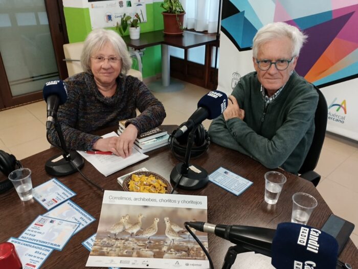 8403e36a-80b2-418b-a890-adcfd07aec61