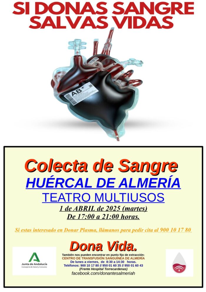 486945025 1055026766660266 6230891035724232550 n