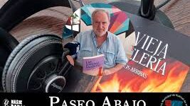 descarga (2)