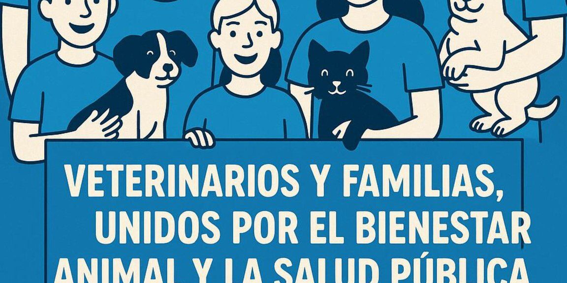 501055302 1248901400572472 5977279745322470418 n