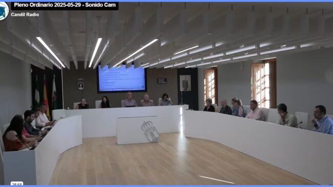 Pleno 2025-05-29