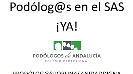 descarga