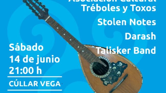 CARTEL CELTASUR 2025 colab