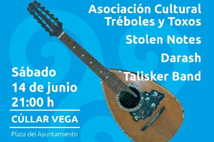 CARTEL CELTASUR 2025 colab