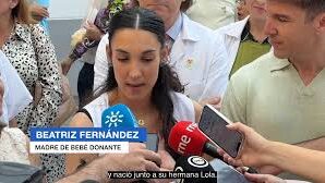 descarga