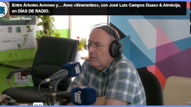 Jose luis campos