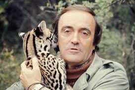 21c7840c-498d-448f-b0df-18ed357f511c