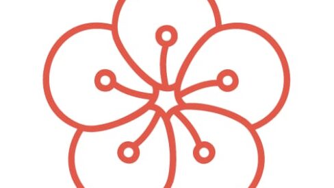 24f1e02e-d746-4312-9396-0c9c316d8c20