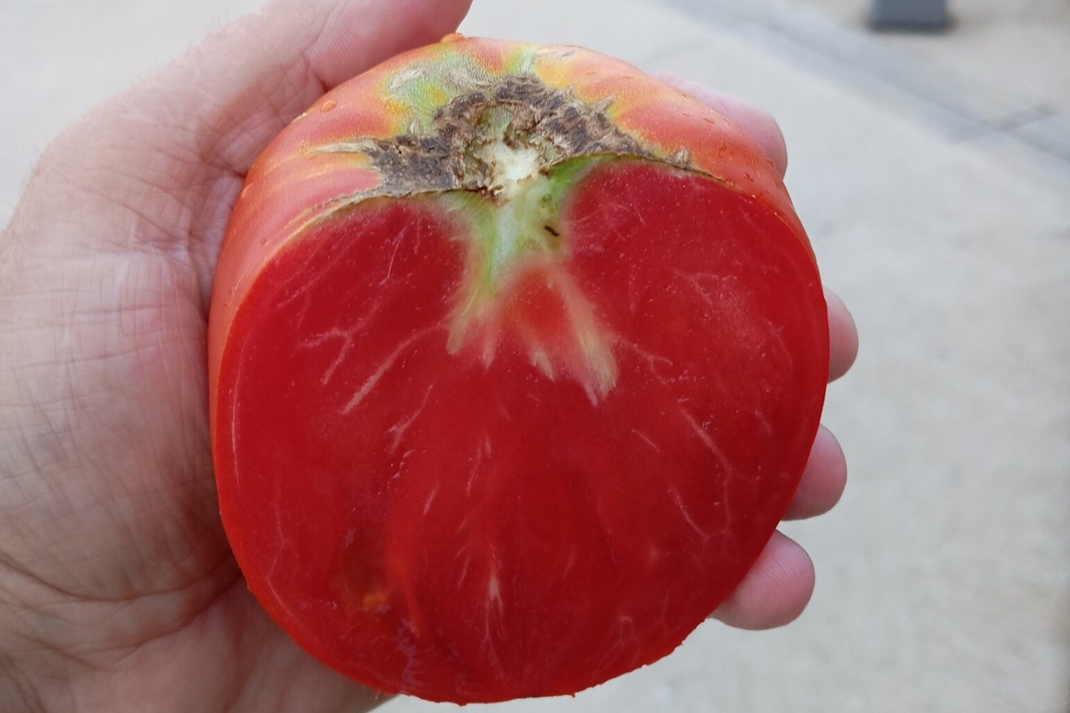 540672723 2285615885191283 1952614519501540118 n