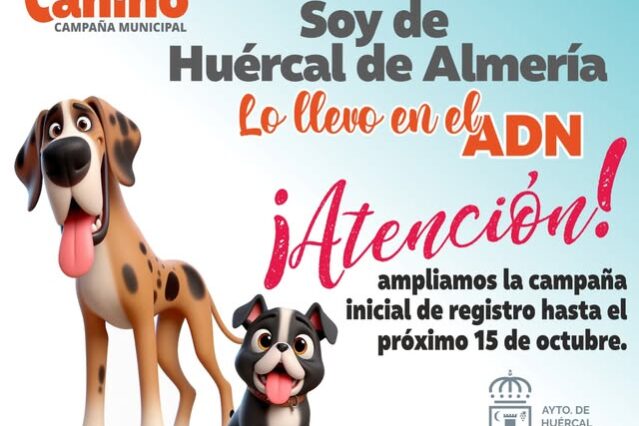 555520549 1202674281895513 6957734223771805805 n