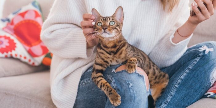 eco article batch 95 catdementia