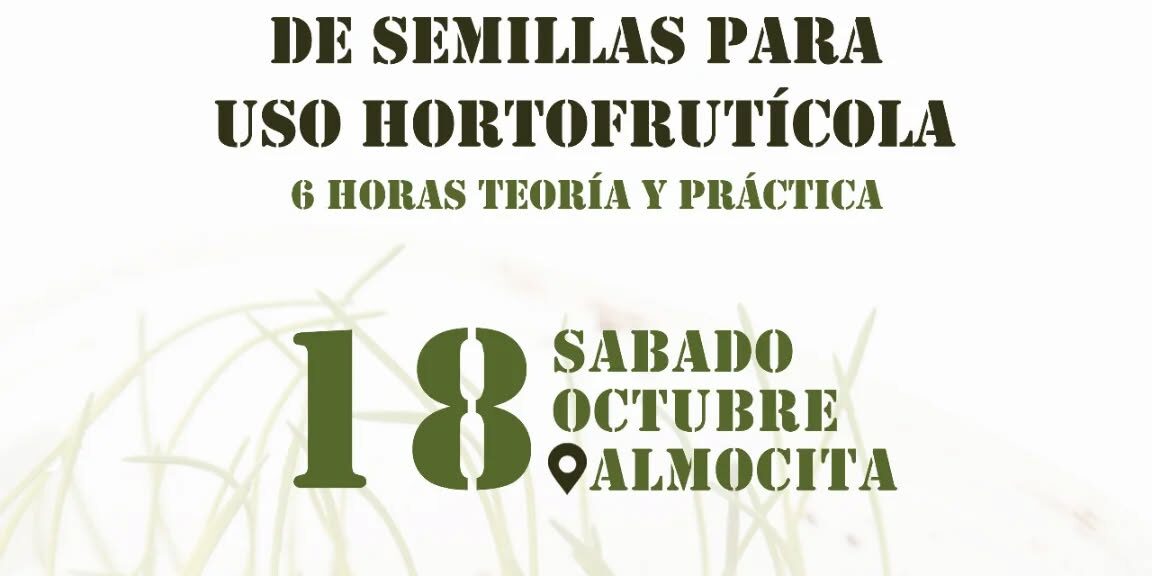 552870576 18088062964882187 973282107831739090 n