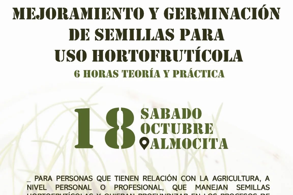 552870576 18088062964882187 973282107831739090 n