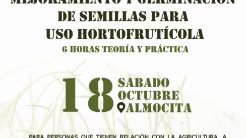 552870576 18088062964882187 973282107831739090 n