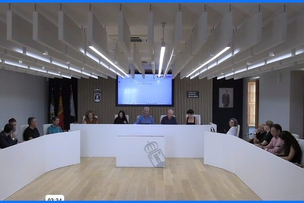 Pleno ordinario 2025-10-08