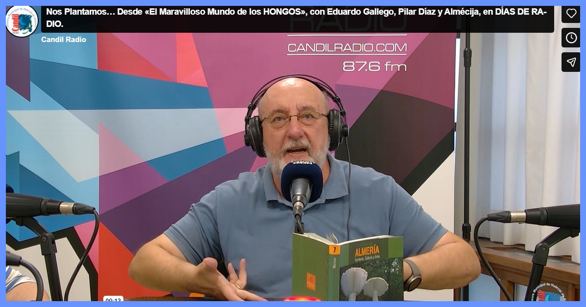 Eduardo gallego – nos plantamos
