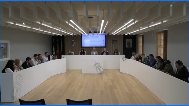 Pleno ordinario 2025-11-14