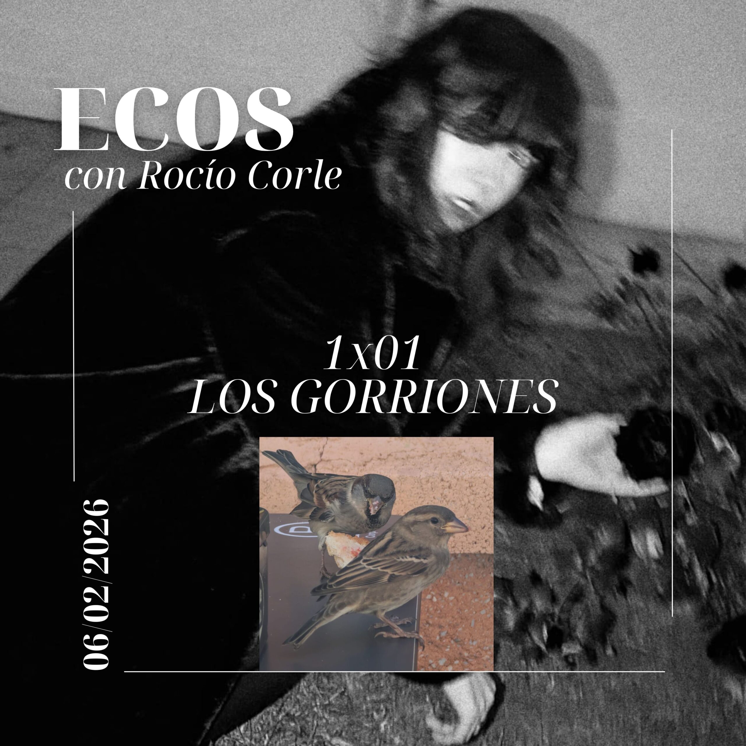 PORTADA ECOS 1X01 LOS GORRIONES