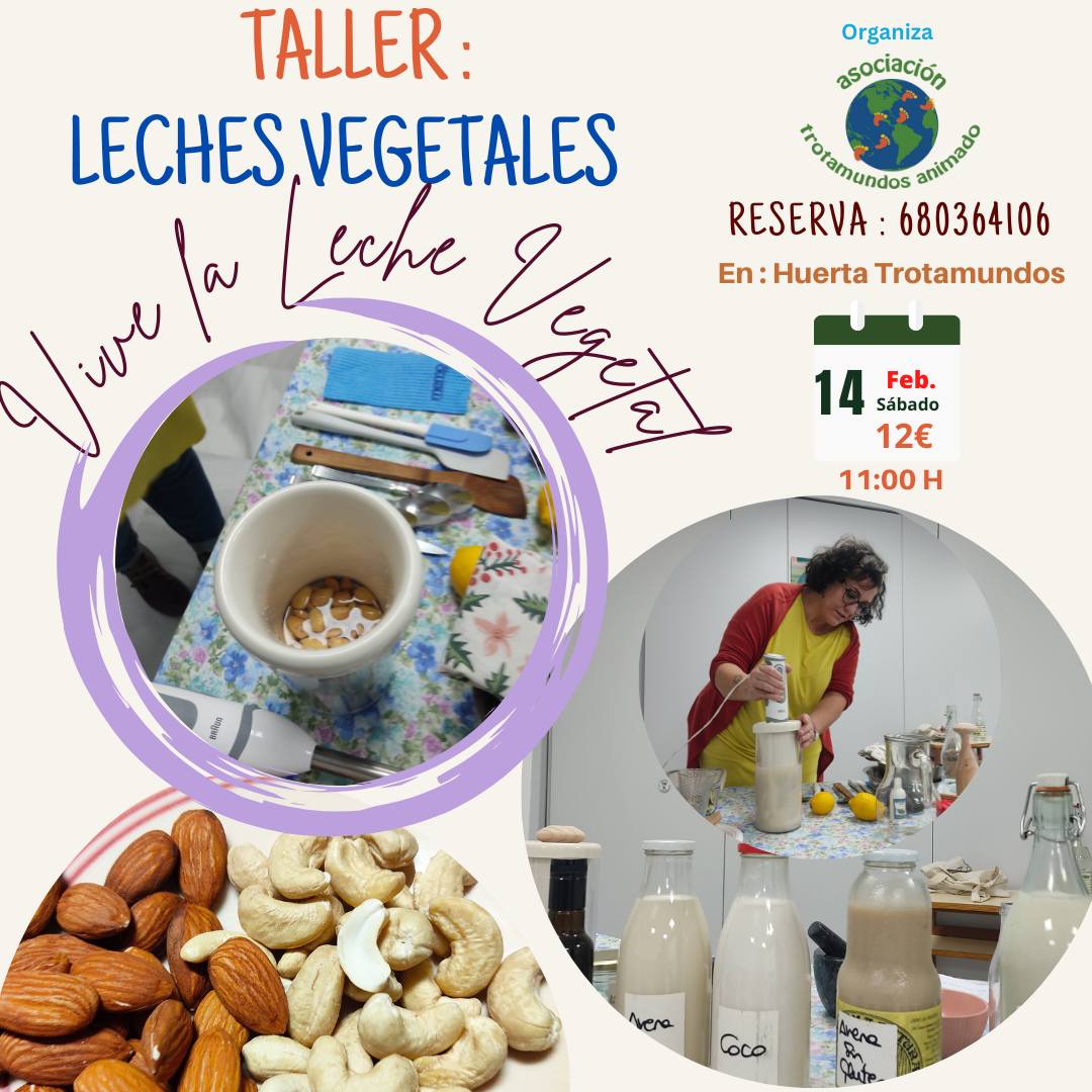 624220825 2426690821083788 2327289923391335692 n