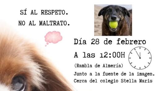 641386579 1632448751302632 7872616894606992529 n