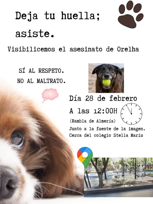 641386579 1632448751302632 7872616894606992529 n