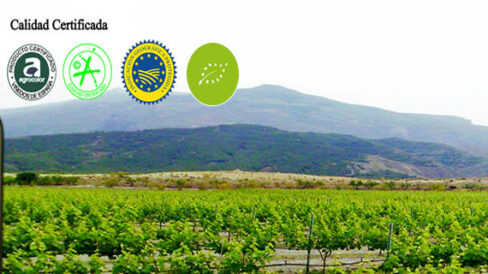 enoturismo-almeria-bodegas-de-seron-que-hacer-cerca-de-picachico-1