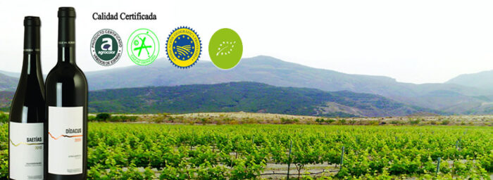 enoturismo-almeria-bodegas-de-seron-que-hacer-cerca-de-picachico-1