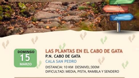 645791190 1333954712100802 8269218956310655628 n