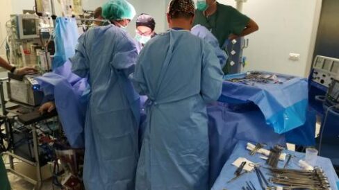 Donación de Órganos