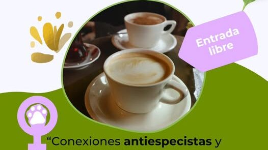 661481550 1664649441415896 8318522754227665456 n