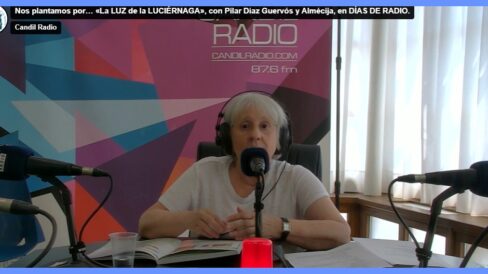 nos plantamos luciernaga