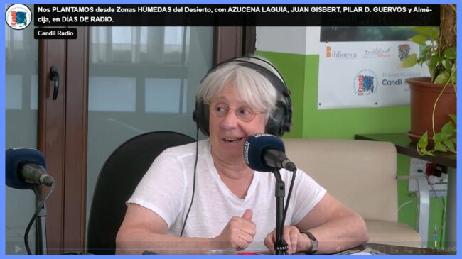 Pilar guervos